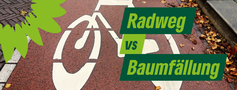 Radweg vs. Baumfällung